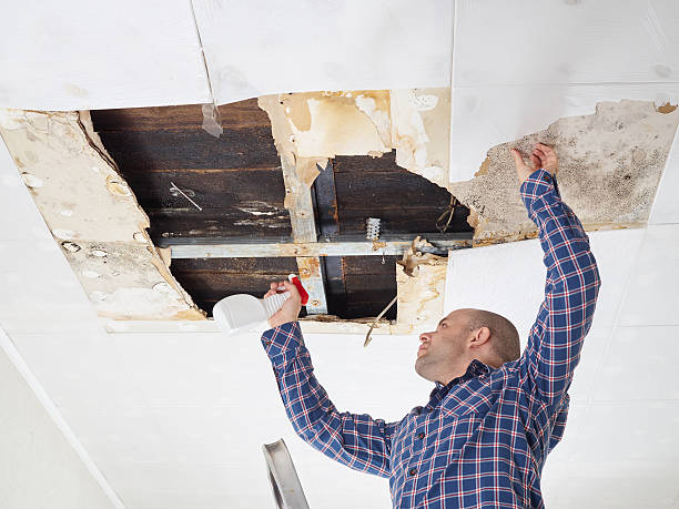 Mold Remediation for Rental Properties in Vero Beach South, FL